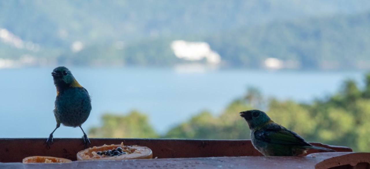 Ore Suites E Chales Ubatuba Eksteriør billede